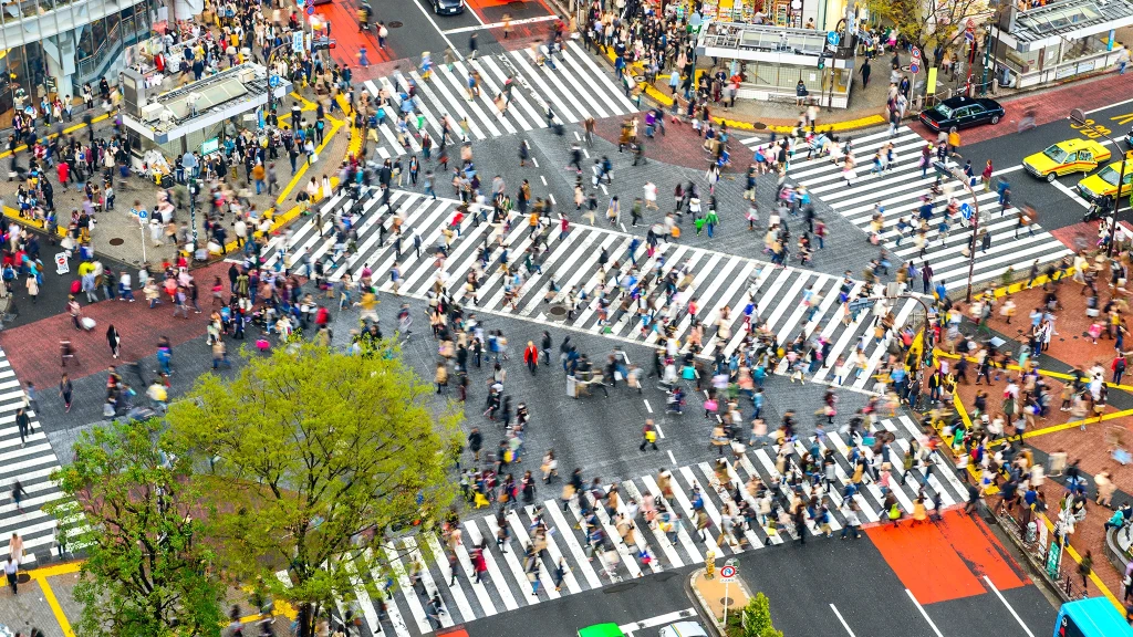 Japan Tourz – photo 2 of 3