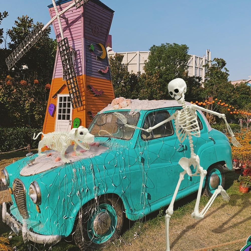 5.4Ft Posable Halloween Skeleton, Full Body Life Size Skeleton with Dog Skeleton for Halloween Spooky Party Props Decor – photo 2 of 5