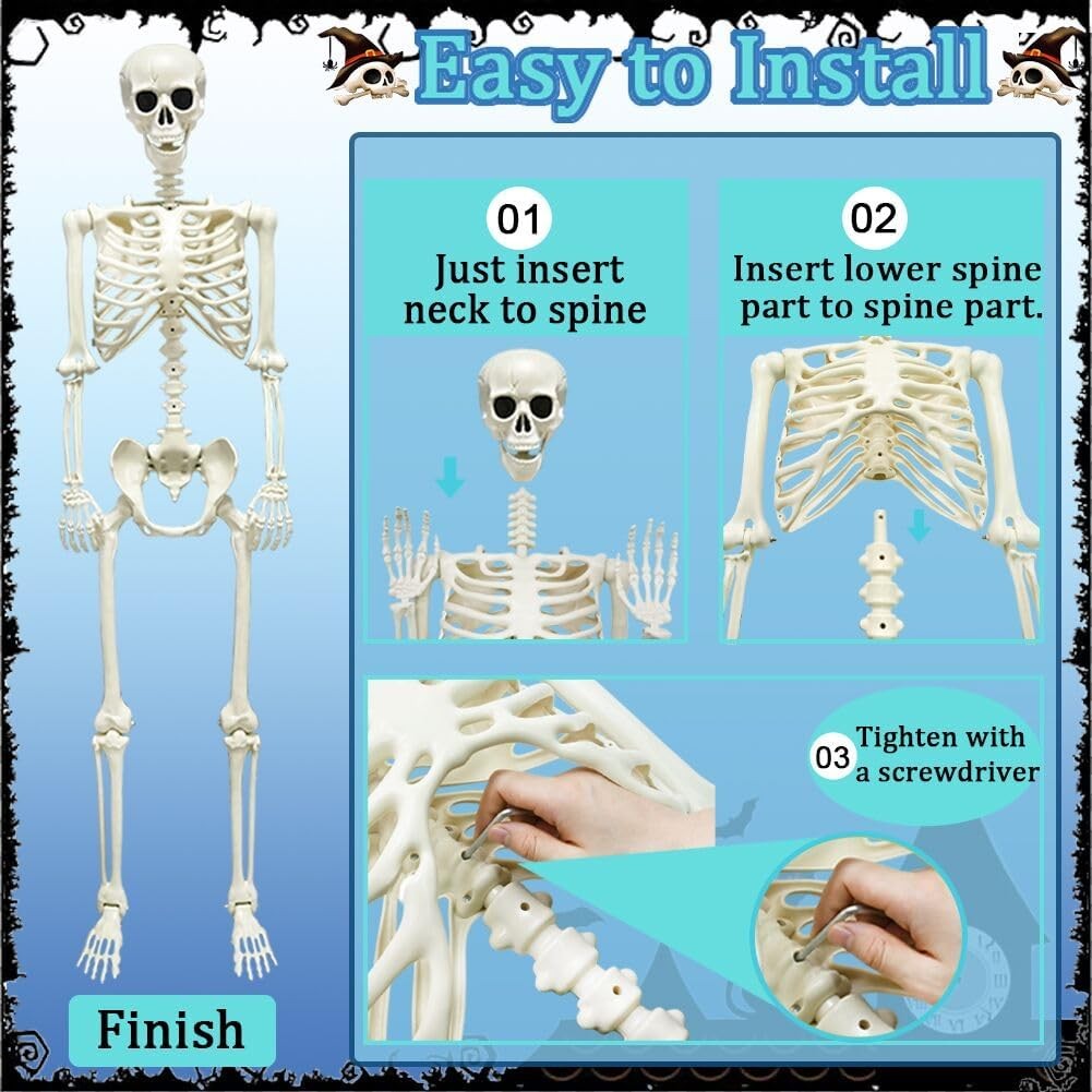 5.4Ft Posable Halloween Skeleton, Full Body Life Size Skeleton with Dog Skeleton for Halloween Spooky Party Props Decor – photo 5 of 5