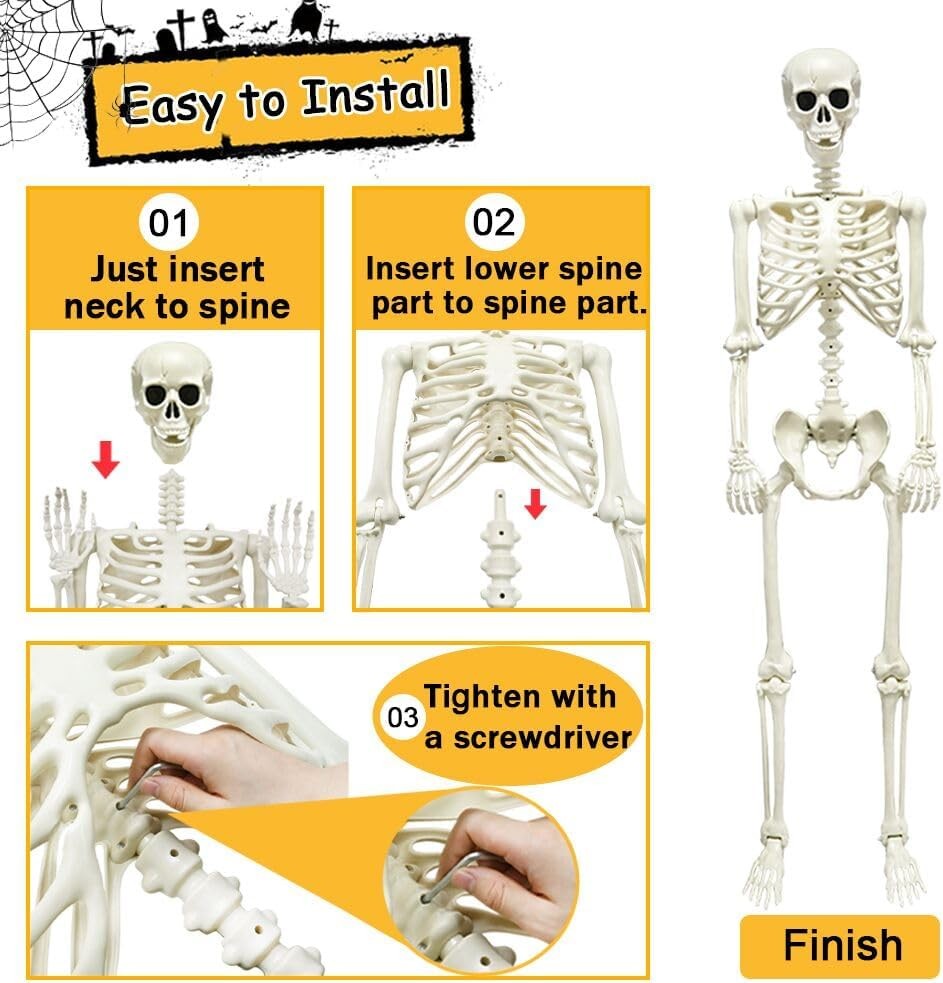 5.4ft/165cm Halloween Skeleton, Halloween Life Size Skeleton with Spider Pumpkin Bag, Full Body Human Bones with Movable Joints for Halloween Indoor Outdoor Haunted House Decorations