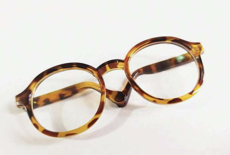 Glasses for a Small Dog or Cat