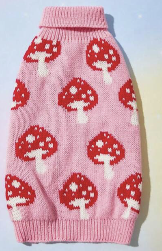 Mushroom Sweater