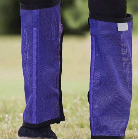 Horse Leg Guards