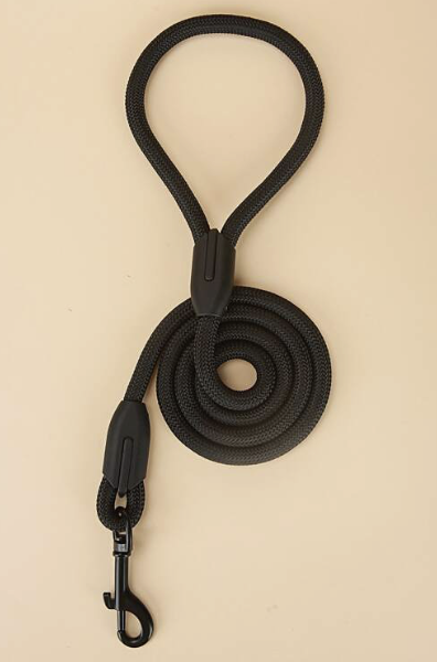 Short Leash