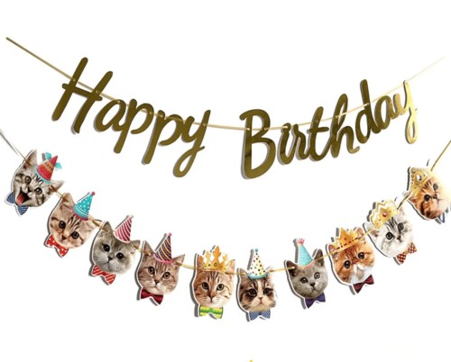 Birthday Banner for Cat