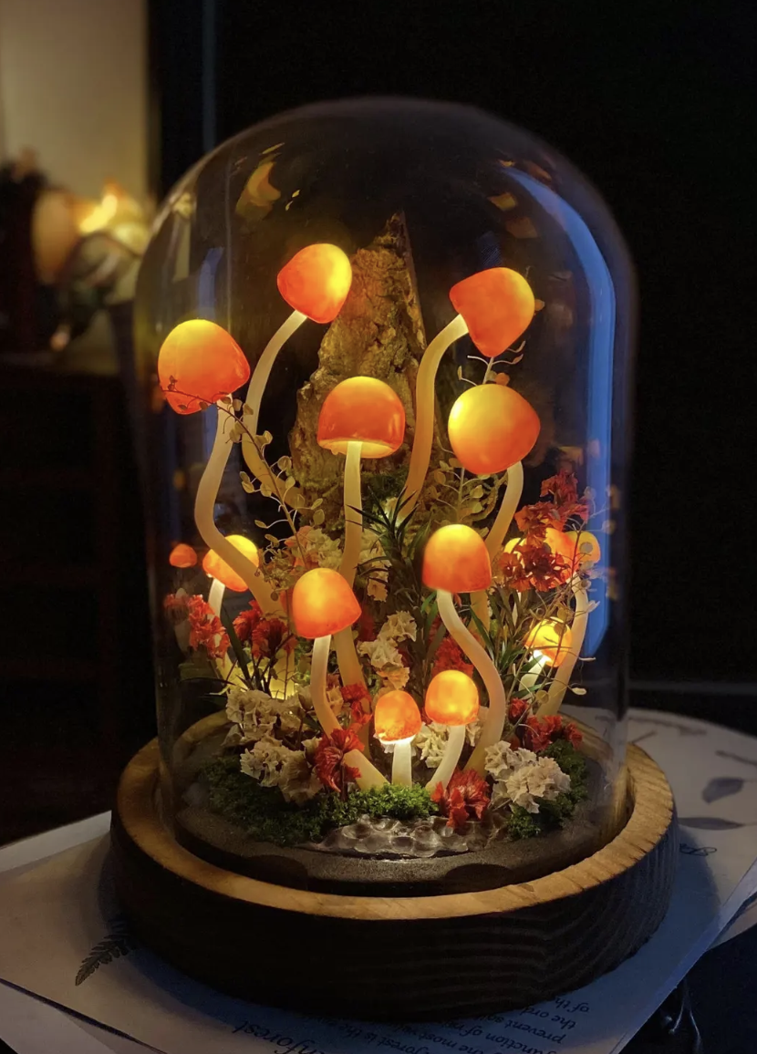 Enchanted Mushroom Forest Night Light