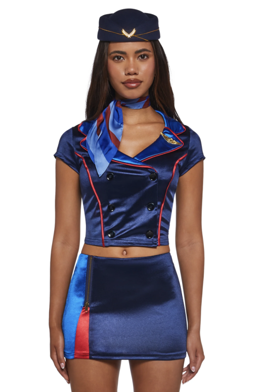 Budget Flight Attendant Costume