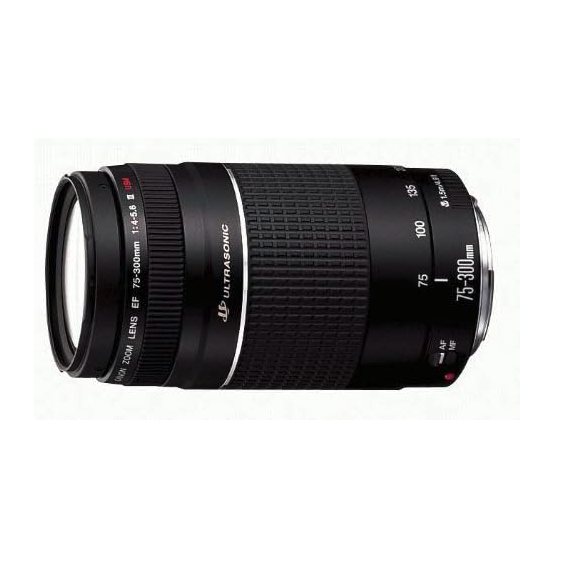 Canon Zoom Lens – photo 2 of 3