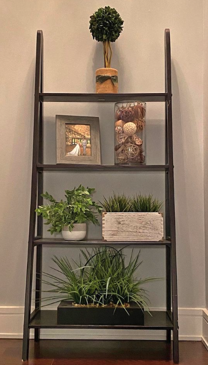 Ladder Bookshelf
