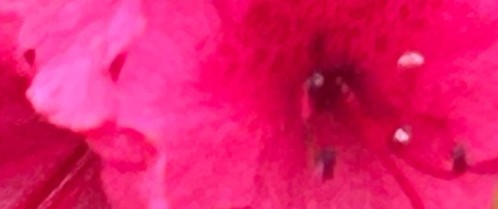 photo::phrase.cover_photos
