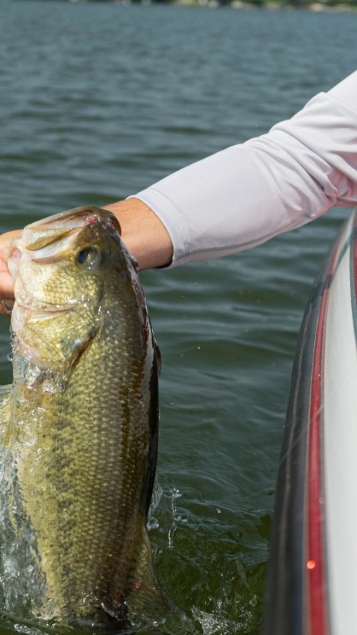 youre fishing WRONG, heres why...how did i ever fish WITHOUT this!?