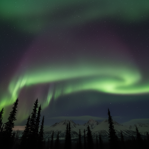 Witness the breathtaking beauty of the Aurora Borealis painting the…