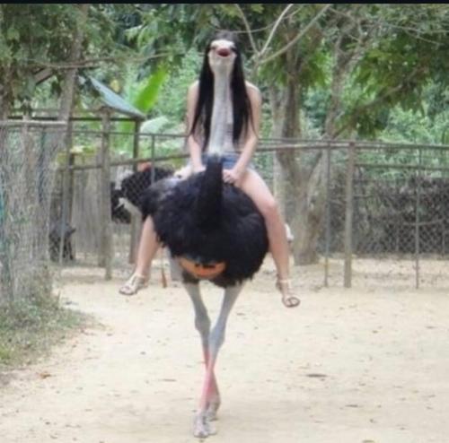 I’m never going to the Zoo again.
