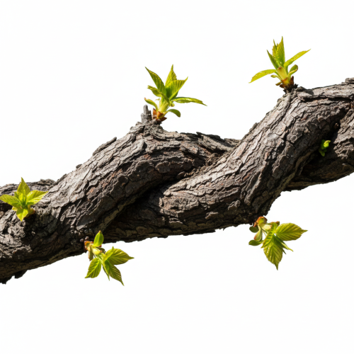 "The absence of struggle is a sign of death, not life." — Michael…