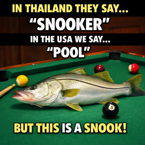Snooker is a more complex and strategic game, popular in the UK and…
