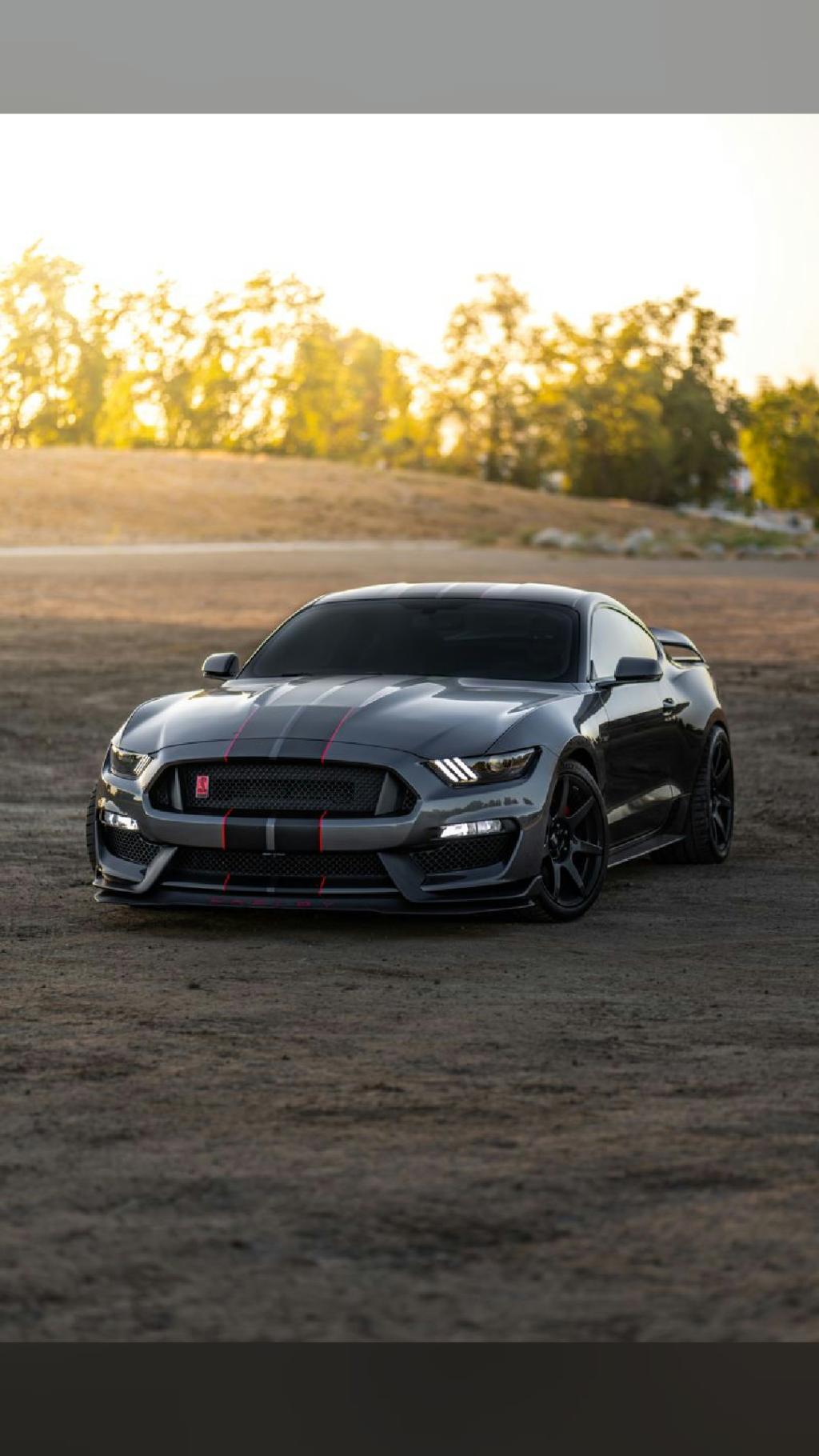 weekend cruise sorted 2020 Ford Mustang Shelby GT500 📷 Tyler…