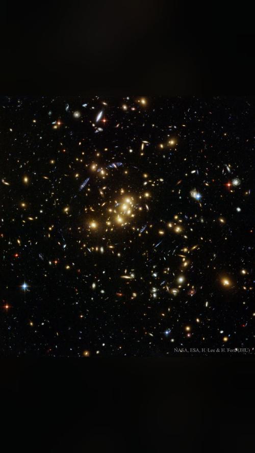 your daily awe Giant Cluster Bends, Breaks Images What are those…