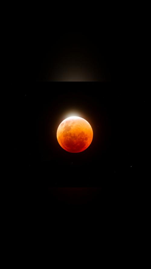 your daily awe A Jewel on the Flower Moon Cloudy skies plagued some…