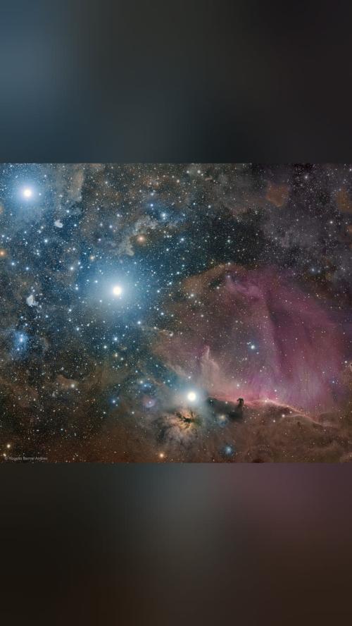 your daily awe Orion: Belt, Flame, and Horsehead What surrounds the…