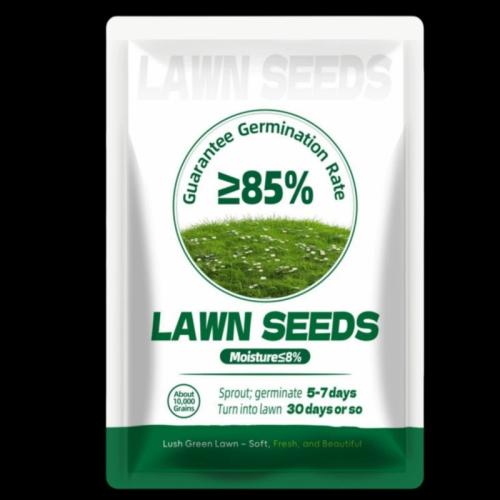 Four Seasons Courtyard Grass Seeds