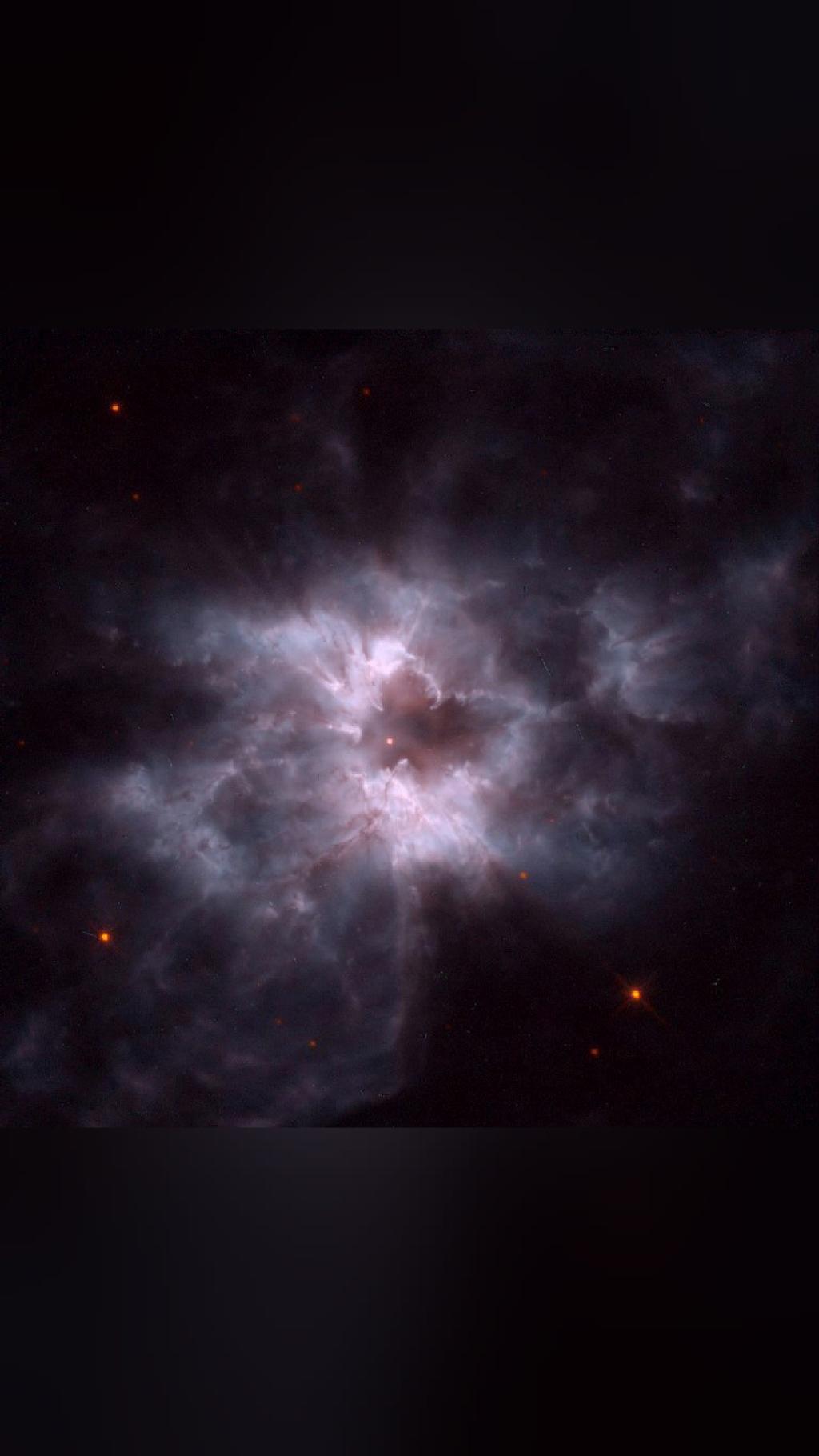 look up tonight NGC 2440: Cocoon of a New White Dwarf Like a…