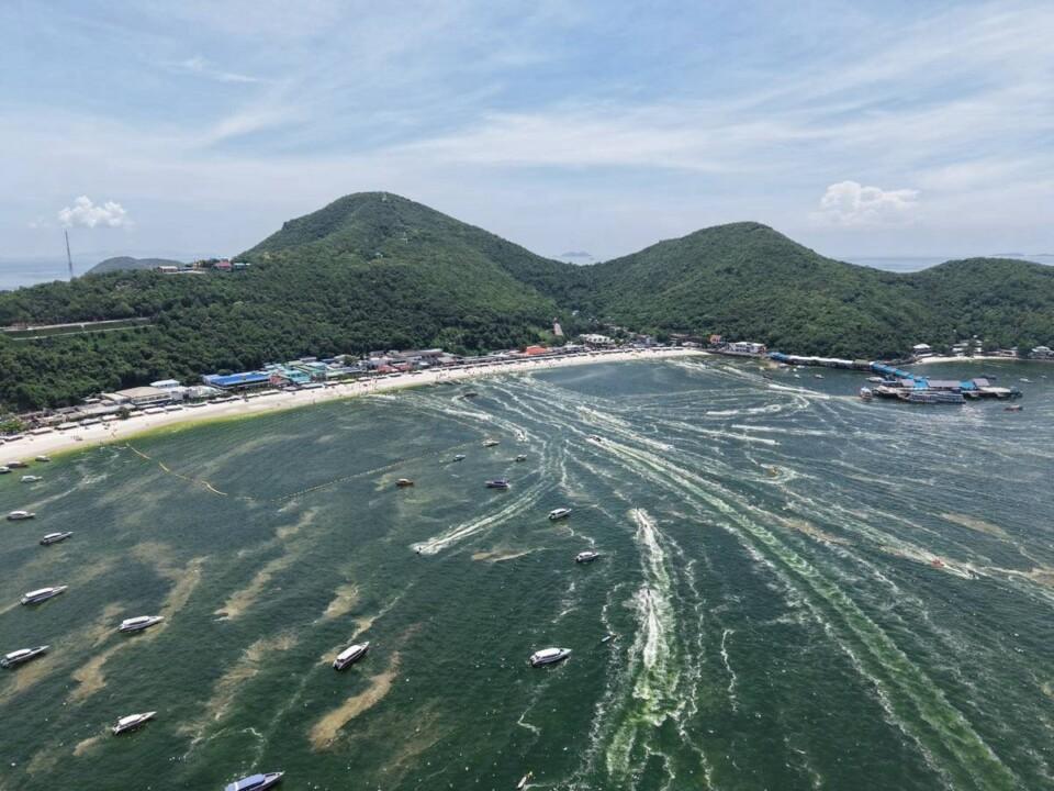 โอ้โห สวยแปลกตาจังเลยนะ!