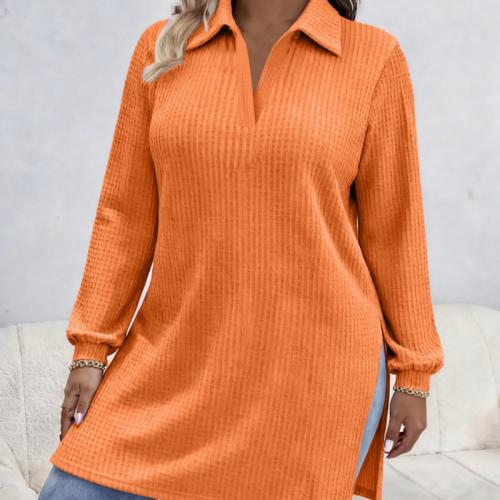 Lady's Blouse