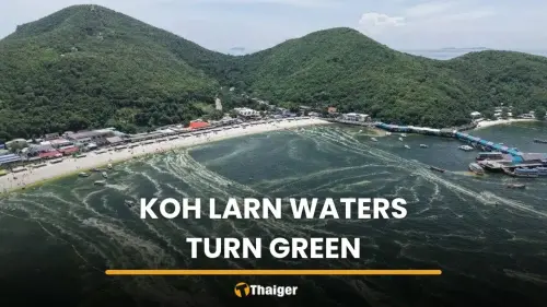 heads up, expats Koh Larn plankton bloom turns sea green after heavy…