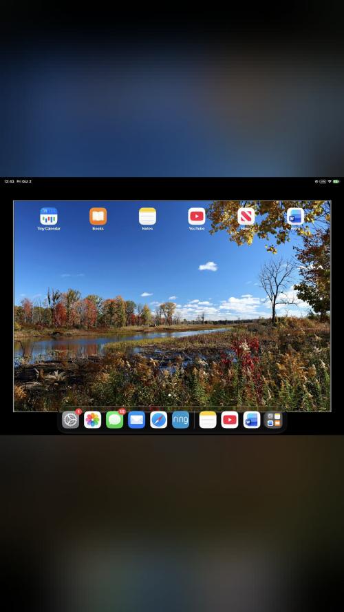 気になる人向け Apple iPad Pro 12.9" 6th Gen 512GB Space Gray Wi‑Fi + 5G…