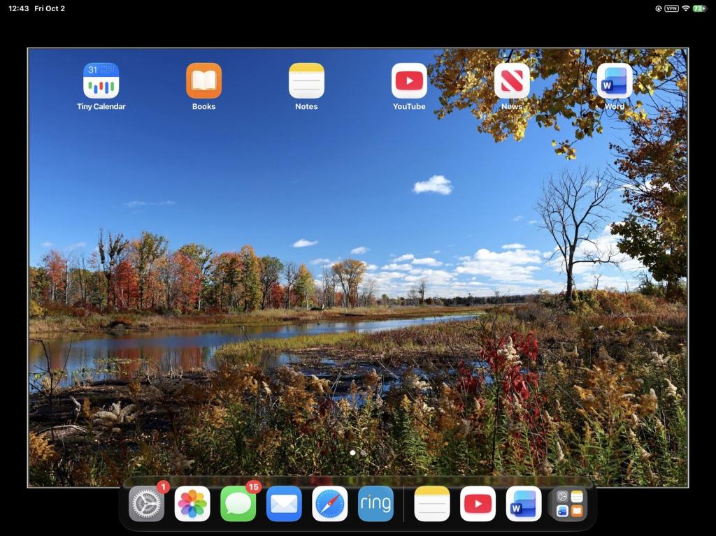 Apple iPad Pro 12.9" 6th Gen 512GB Space Gray Wi‑Fi + 5G Unlocked-Used-Mint