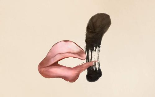 photo::phrase.cover_photos