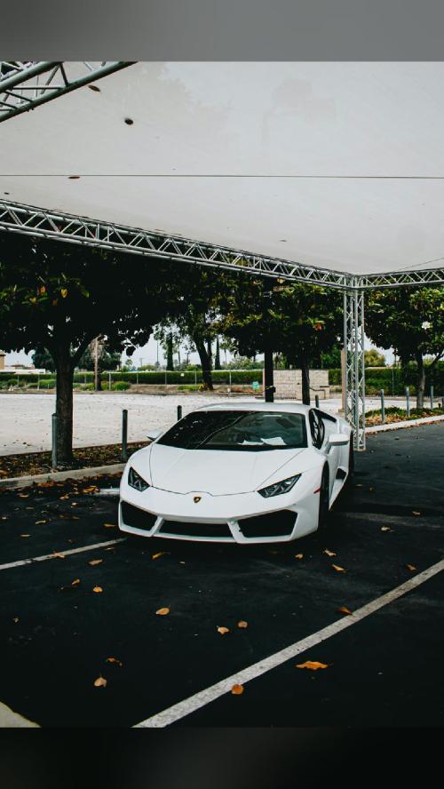 send this to your car group chat 1985 Lamborghini Countach 📷 RITESH…