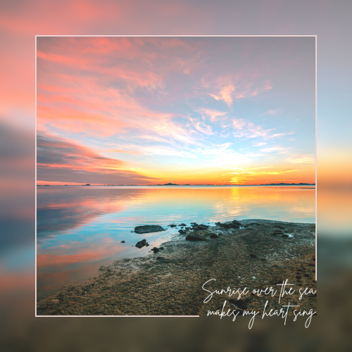 photo::phrase.cover_photos
