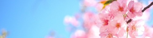 Photo from Minami's Cover Photos