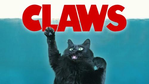 CLAWS! (Jaws OwlKitty parody)