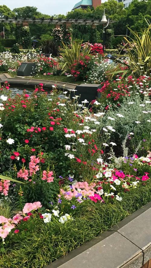 Flower garden💐🌷✨