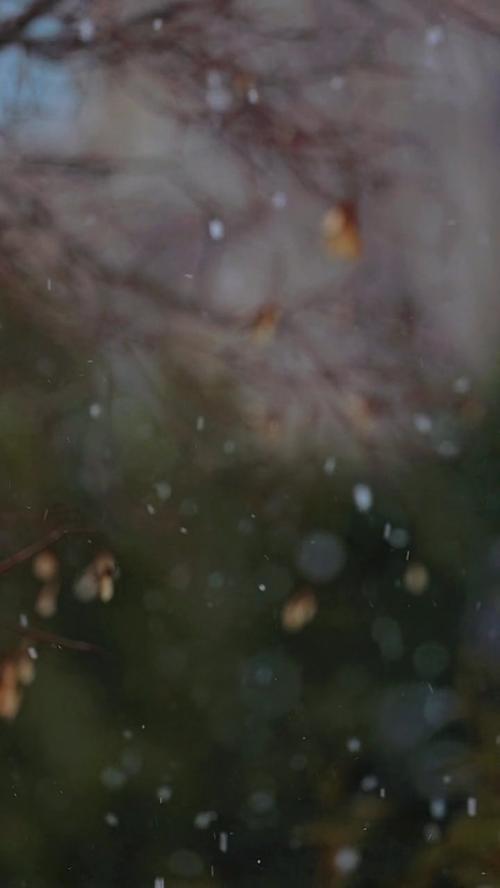 snow falling