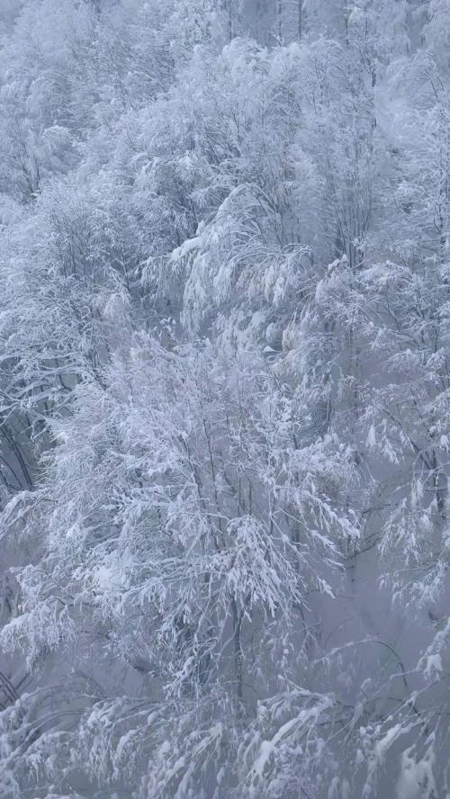 snow falling