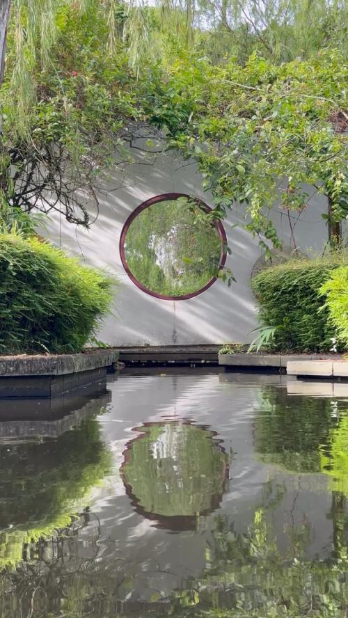 koi pond