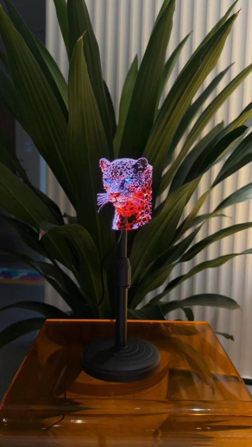 Wiilala Disesktop 3D Holographic Fan, 4.72 Inch  With , APP Transmission Built-in Video - HD  LED…