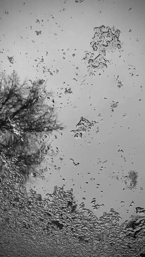 snow falling